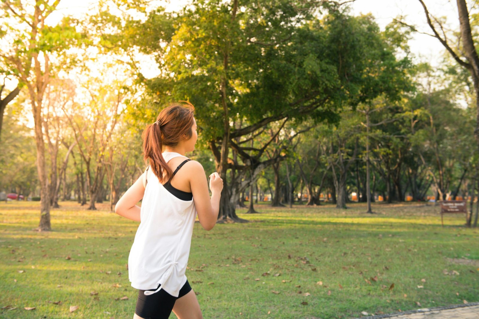 Exercícios físicos e saúde mental: guia completo para melhorar corpo e mente